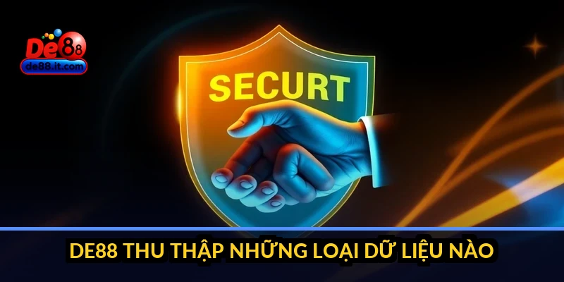 DE88 thu thập những loại dữ liệu nào?